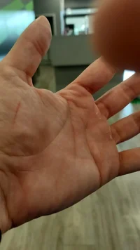 Imagen de WhatsApp 2025-11-03 a las 11.44.19_30555afa.webp