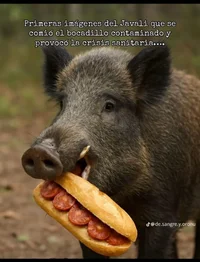 WhatsApp Image 2025-12-03 at 21.53.54.webp