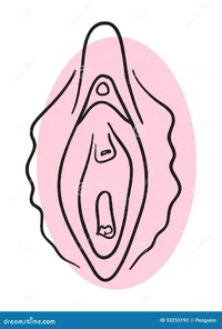 vagina-53253192.webp