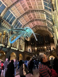 IMG-20251229-WA0071.webp IMG-20251229-WA0071.webp