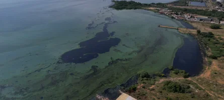 Screenshot 2026-01-18 185415.webp