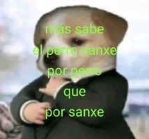 Más_sabe_el_Perro_Sanxe_por_perro_que_por_Sanxe-740221914.webp