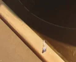 Captura de pantalla 2026-02-28 a las 14.24.15.webp