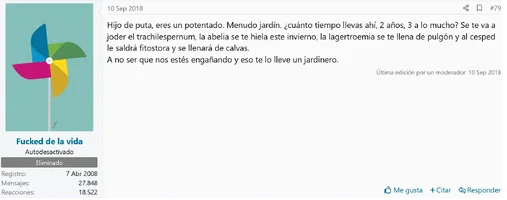 Screenshot 2022-03-13 at 18-09-53 Gabinete fitomántico del profesor Verruga.webp