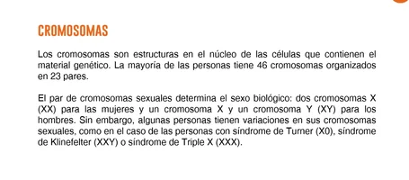 Screenshot 2025-12-25 125319.webp