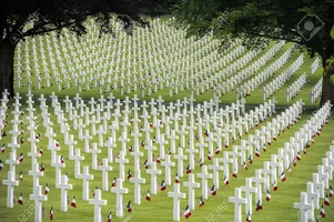 67219967-memorial-day-at-the-american-cemetery-in-france.webp