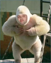 ZomboMeme 08032026211419.webp