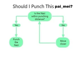 should i punch this pai mei.webp