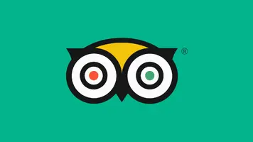 TripAdvisor_Ollie-Wink_Thumbnail.webp