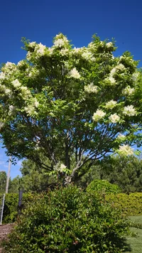 IMG_20260419_103552.webp