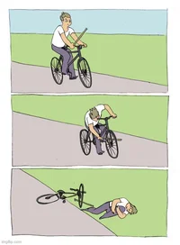 bike meme.webp