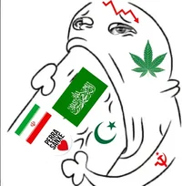 1000091256 copy.webp