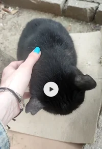Screenshot_2026-04-30-23-19-32-917-edit_com.miui.gallery.webp