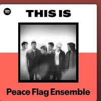Screenshot_20260515_235255_Spotify.webp