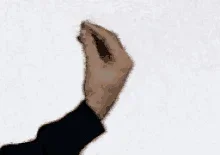 si-hand-gesture.webp