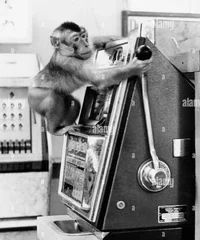 1779366322922.webp
