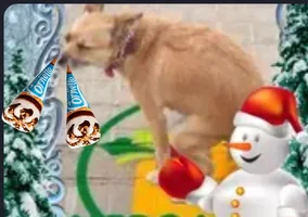 Cupace20260522093139966.webp