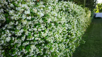 IMG_20260524_194636.webp