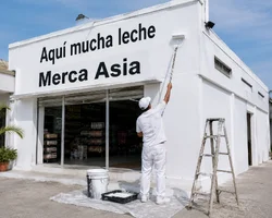 MercaAsia.webp