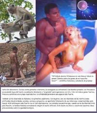 19641319481891593.webp