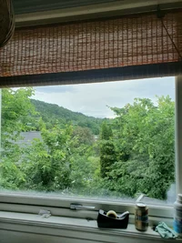 20260614_090040.webp