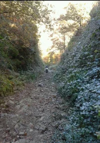1000043324.webp