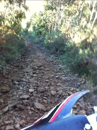 1000043322.webp