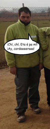 imagennn.webp
