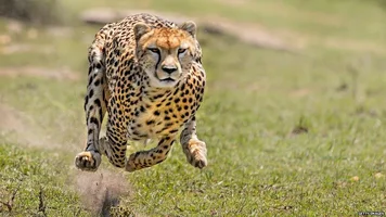 1782489261537.webp