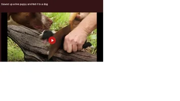 Sin título.webp