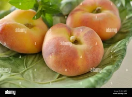 1000097174.webp
