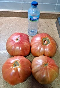20260709_222752.webp