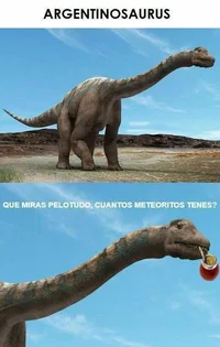 1000153287.webp