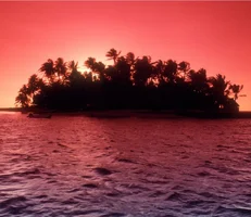 Screenshot 2026-07-19 161424.webp