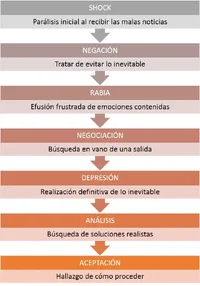 1000123877.webp
