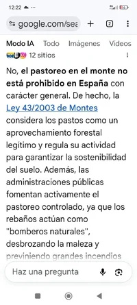 1000132417.webp
