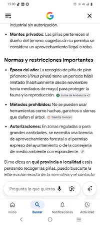 Screenshot_20260726_150000.webp