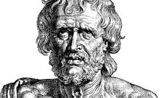 1785159134510.webp
