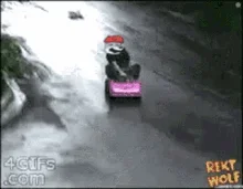 rekt-wolf-kart-crash.webp