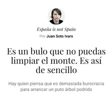 1785233681697.webp