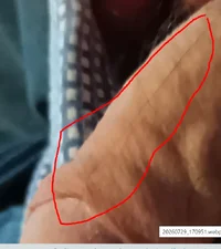 1785345561736.webp