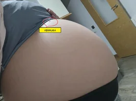 9b80a195-2a91-433b-9ddd-e0f89147ce68.webp