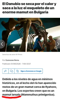 1000044412.webp