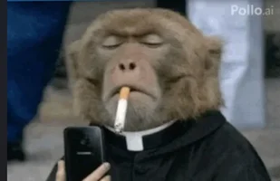 Captura de pantalla 2026-05-05 221320.webp