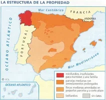 Estructura de la propiedad MAPA.webp