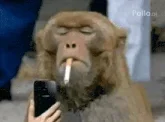 smoking-cigarette.webp