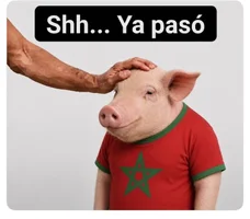 1786799102199.webp
