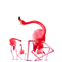 419e22a28aa95fbb62aefc380423b7df.webp