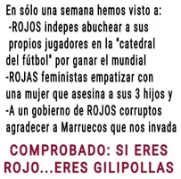 1000087279.webp