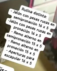 1788301600582.webp
